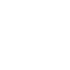 logo1